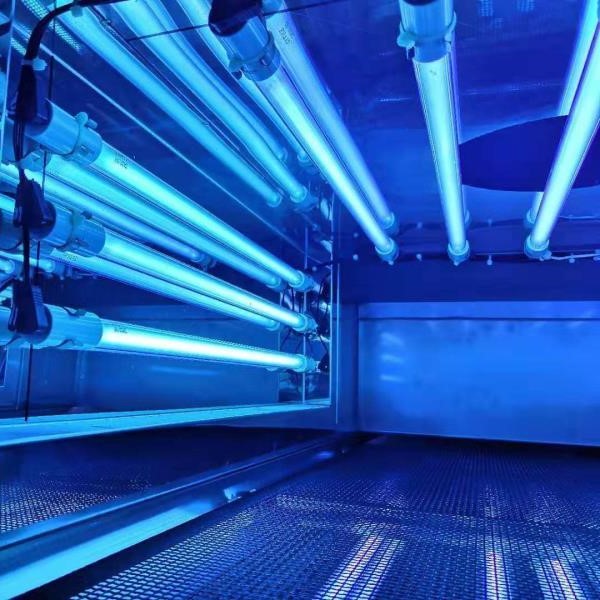Megalakult a Magyar UV-C Egyesület